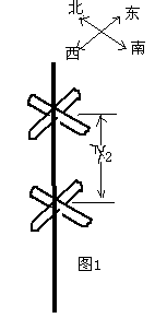 fstx1.gif (1450 字節)