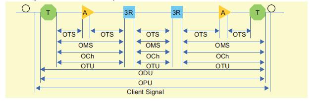 OTN層和網絡組成
