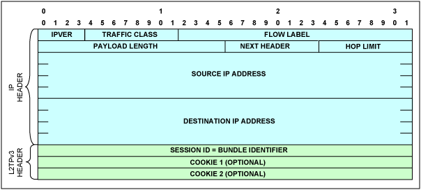 圖9. L2TPv3/IPv6報頭