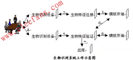 生物識別系統