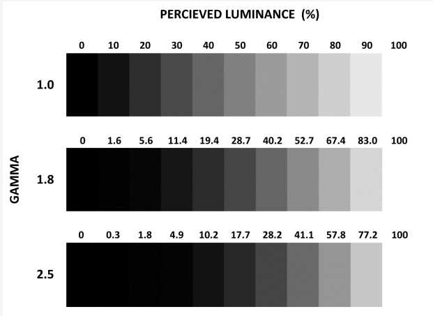 圖3: 伽瑪響應相關亮度變化對比（伽瑪、感覺到的亮度）