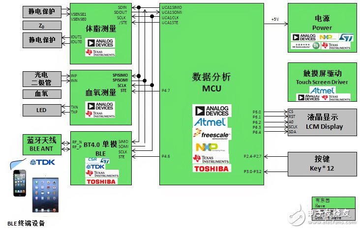 基于BLE技術的體脂、血氧計設計方案