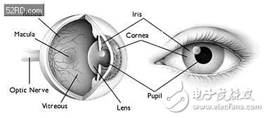 刷爆眼球的虹膜識別技術(shù)探密