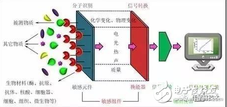 生物傳感器原理圖