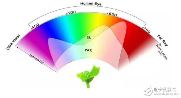 LED植物生長燈的色溫與流明及光譜范圍對植物生理的影響介紹