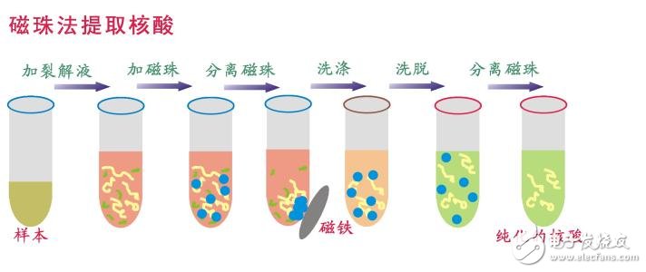 什么是生物磁珠_磁珠法提取DNA簡(jiǎn)介