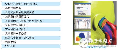  SEMCAD電磁兼容與生物電磁分析軟件