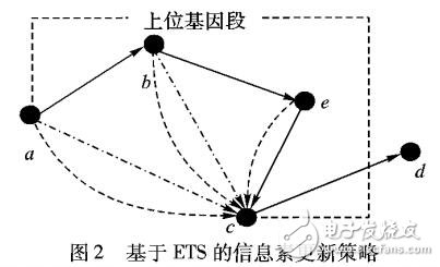 基于上位基因段的信息素更新策略