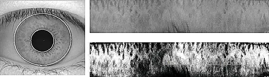 基于生物特征識別的虹膜識別技術介紹及其應用
