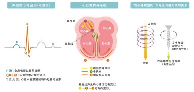 MR生物磁性傳感器的特點以及各種應用解析